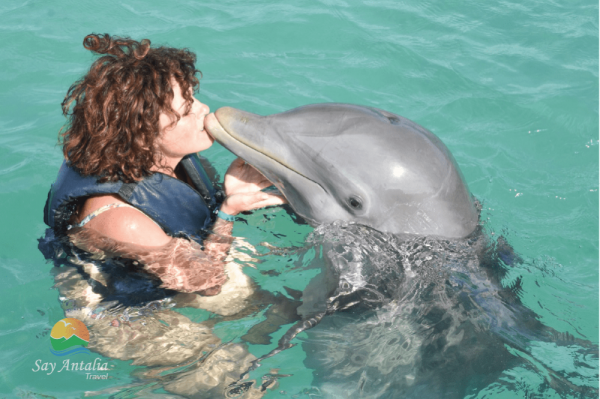 Dolphins Show Turu